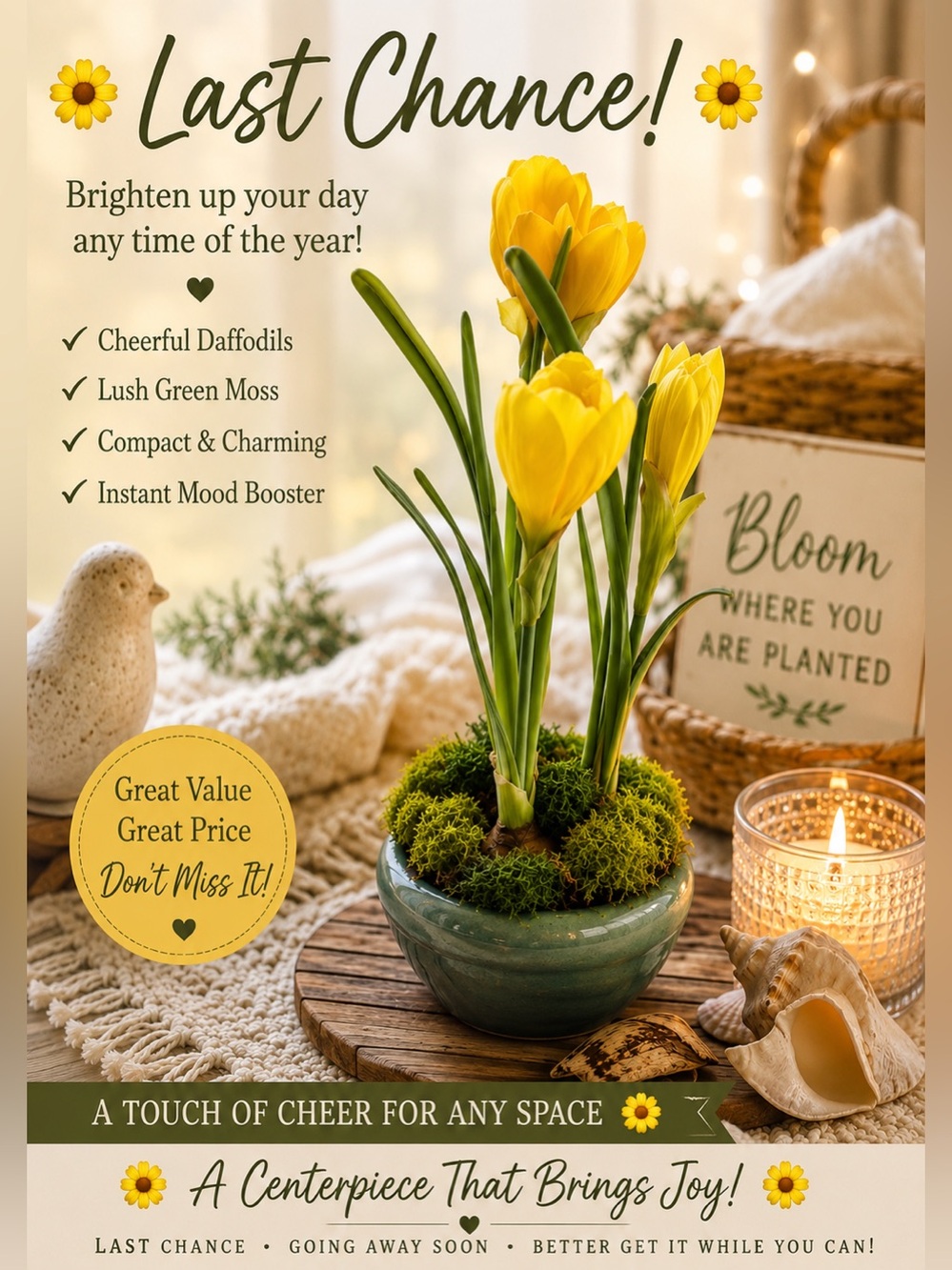 🌼🌼Last Chance 🌼🌼 Floral Arrangement for anytime with Moss